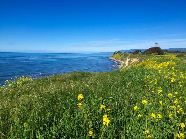 Ellwood spring. Credit: Brian Wolf