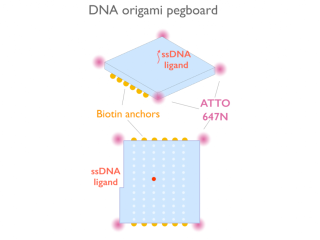 Schematic of DNA origami pegboard