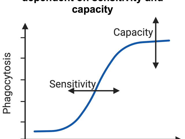 Figure 1 of JCS article